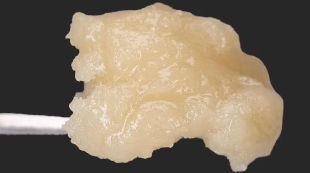 SHUGA WATA THCA hash rosin infused simple syrup 500mg