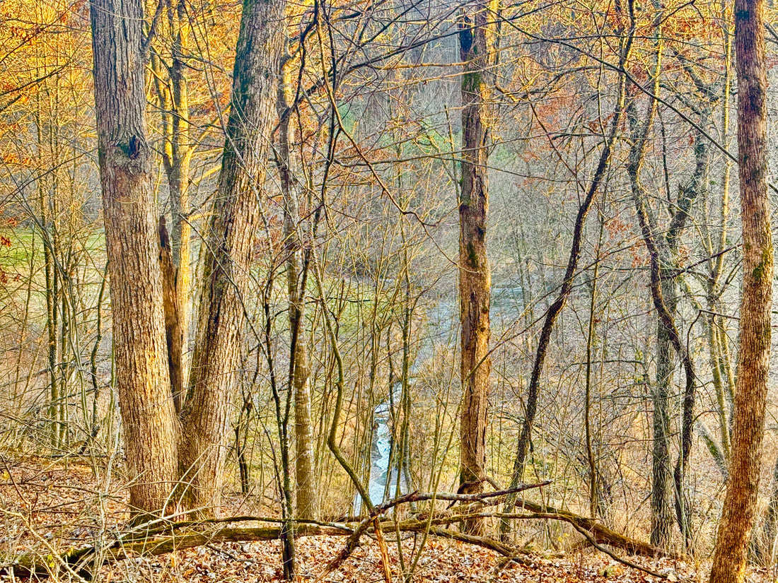 A Living Guide: Healing Ourselves, Envisioning the Future, and Reclaiming the Love of the Logos